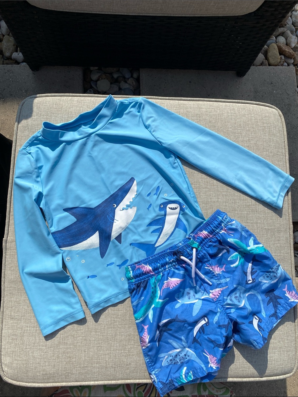Kids Blue Shark Rash Guard Set - Long Sleeve Swim Top and Shorts